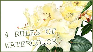 The 4 rules of watercolor [an easy method anyone can use]