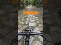Kanntest du diese Strecke schon? #mtb #secret #fyp