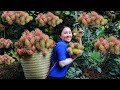 2 years alone in the forest  harvest rambutan goes to the market sell  emma daily life