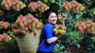 2 Years Alone in the Forest - Harvest RAMBUTAN goes to the market sell | Emma Daily Life