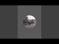 Yogi Zaheer Jutt is live