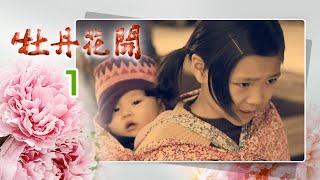 牡丹花開 Peony In Bloom EP.001