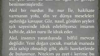 İslam Di̇ni̇nde Bi̇lgi̇ni̇n Kaynaklari