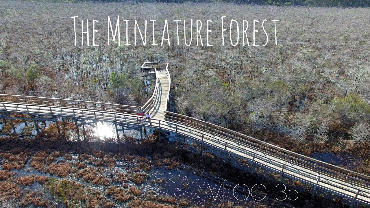 rv life youtube Fancy Showers and Forest Fires | MOTM VLOG #35
