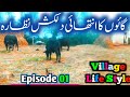 Village life style  village vedeo  village life style vedeo