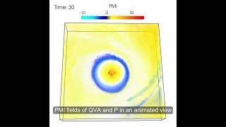 SIGGRAPH VIS SYMP 2017:Pointwise Information Guided Visual Analysis of Time-varying Multi-fields