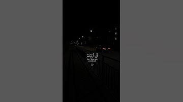 ﴿ قُلْ أَرَأَيْتُمْ ﴾ سورة القصص || القارئ الشيخ ياسر الدوسري