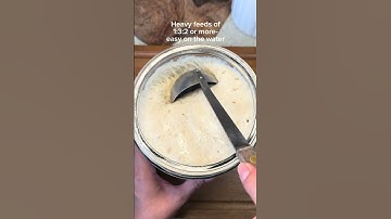 Things I do to keep my sourdough starter strong #sourdoughstarter #sourdough