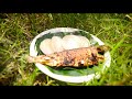 Mini ilish  hilsa  fish fry recipe  special mini ilish fish real cooking   mini foodies show