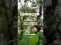 Доброе утро, ВТОРНИК! 🤗🤗🤗 21.10.2025г. Всем здоровья,  удачи, везения, счастья и позитива! 😁😁😁