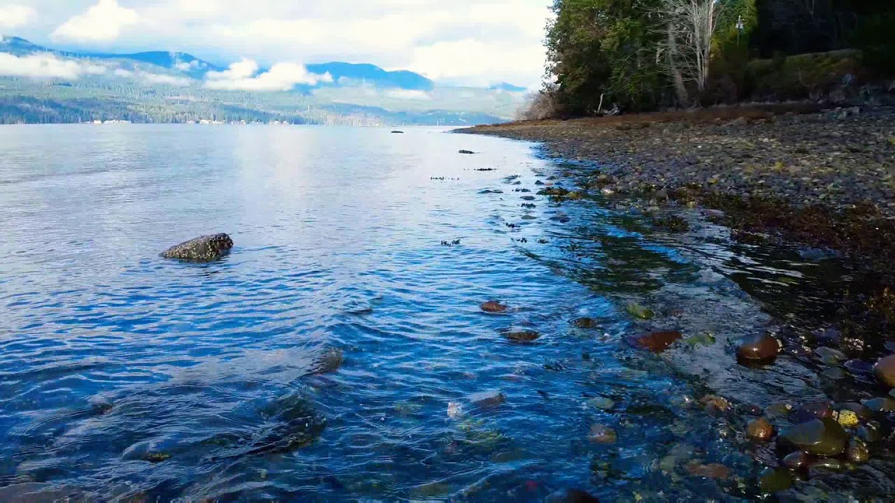 Hood Canal YouTube