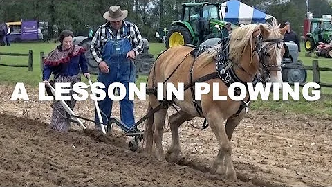 Rachael Plows at Landmark Park