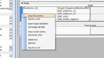 Alpha Five V11  Reporting more about boxes