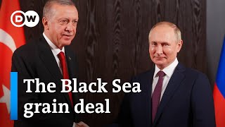 Can Erdogan Safeguard Continued Ukrainian Shipping In The Black Sea? Dw News