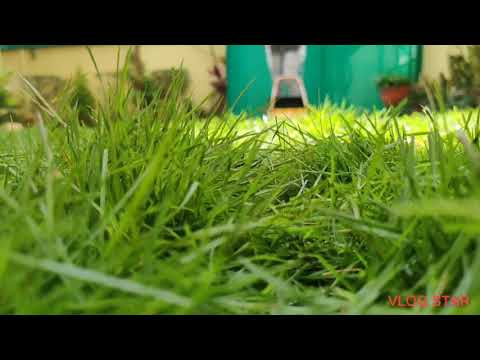 BENEFITS OF REGULAR LAWN MOWING & WHY YOU SHOULD LET ACCUPRO LANDSCAPING DO IT