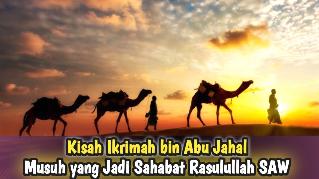 Musuh Rasulullah Kisah Ikrimah bin Abu Jahal, Musuh yang Jadi Sahabat Rasulullah SAW ...