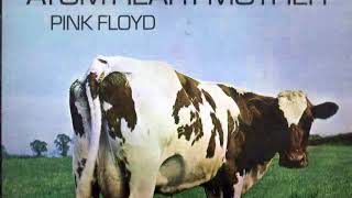 Pink Floyd - Fat Old Sun