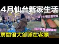 4月仙台❗️日本超市&超商美食、藥妝店人氣商品特徵、睡客廳2個月的生活