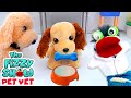 Fizzy The Pet Vet Helps Mama Dog And Her Puppies Feel Better 🐾❤️‍🩹 | Fun Videos For Kids