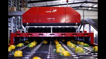 AWETA | Grading & sorting of peppers