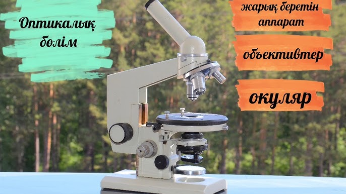 Порно топтық секс әйелдерді алдау Әтеш соратын қыздардың порносын көріңіз