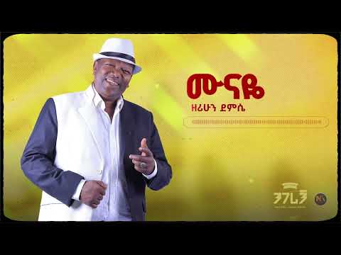 Zerihun Demissie Munaye I ሙናዬ Remastered Official Lyrics Video