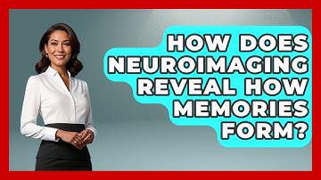 How Does Neuroimaging Reveal How Memories Form? - Neurotech Insight Pro