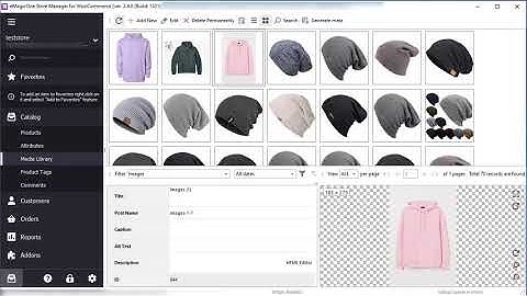 Store Manager for WooCommerce Overview by eMagicOne