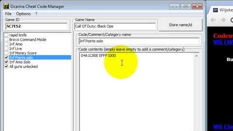 How to activate hack codes for black ops wii