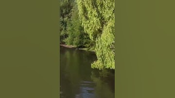 طبيعه جميله مع القران الكريم