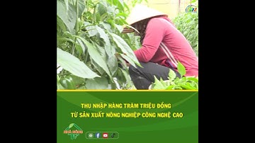 Thu nhập hàng trăm triệu đồng từ sản xuất nông nghiệp công nghệ cao