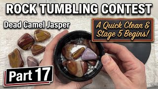 2026 Rock Tumbling Contest (Part 17): A Quick Clean & Stage 5 Begins!