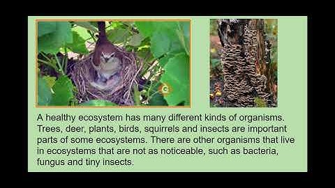 5th Grade Life Science: Week 1 - Google Drive