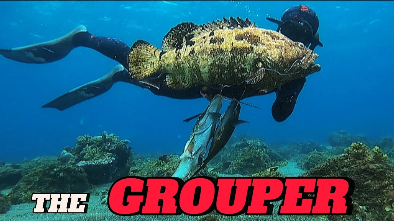 SPEARFISHING PHILIPPINES || MARBLE GROUPER || KING MACKEREL || BANTON ROMBLON!😱🎯