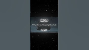 سورة النساء|27-28|القارئ:#محمد_اللحيدان #قران #quran #راحة_نفسية #قران_كريم#تلاوة_هادئة #تلاوة_خاشعة