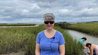 National Estuaries Week 2021 - What's a Salt Marsh?