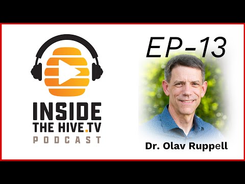 VARROA MITES feed on HEMOLYMPH and fat bodies - Dr. Olav Ruppell
