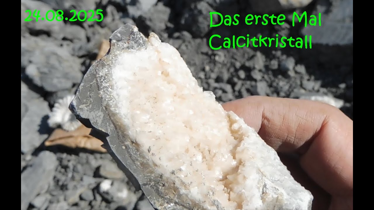 Fossiliensuche in der Tongrube 24.08.25. Das erste Mal Calcitkristall gefunden.