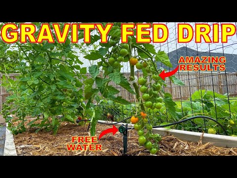 Video: Drum pump: for watering, fertilizing and irrigation