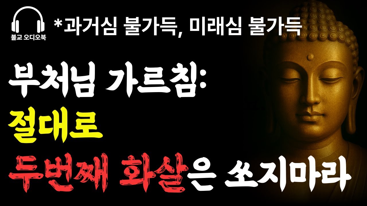 당신이 매일 쏘는 2번째 화살, 고통 2배 습관을 멈추는 법 #법구경 #부처님말씀 #불교법문  #불교오디오북