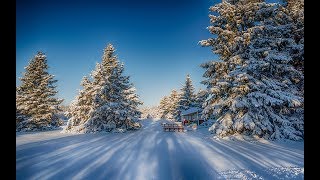 Укрылись снегом ели. Полеты на парапланах ГЛК Уязы-Тау.