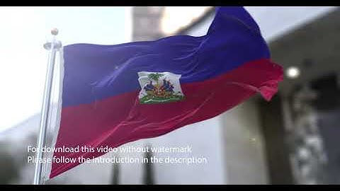 Haiti flag with 3d effect blowing in the wind 3D Flag V2 long