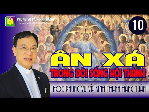 Video: Những Bài Báo Nào Thuộc Về Ân Xá