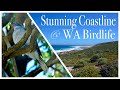 Geographe Bay &amp; Cape Naturalist | Explore WA with Lisa #4