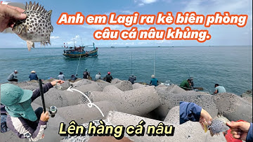 Câu Cá Nâu Khủng Ở Kè Biên Phòng Lagi Bình thuận!​⁠ Cần Thủ Chen Chút Hết Kè @Longvlog86