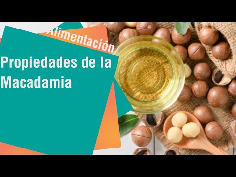 Video: ¿De qué está hecha la macadamia?