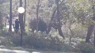 challenge mallorca 2019 last climb - Coll de sa Creu