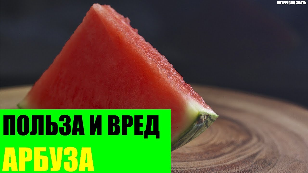 Польза и вред арбуза