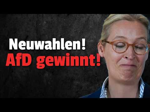 💥AfD WINS in court: Election rerun is happening!