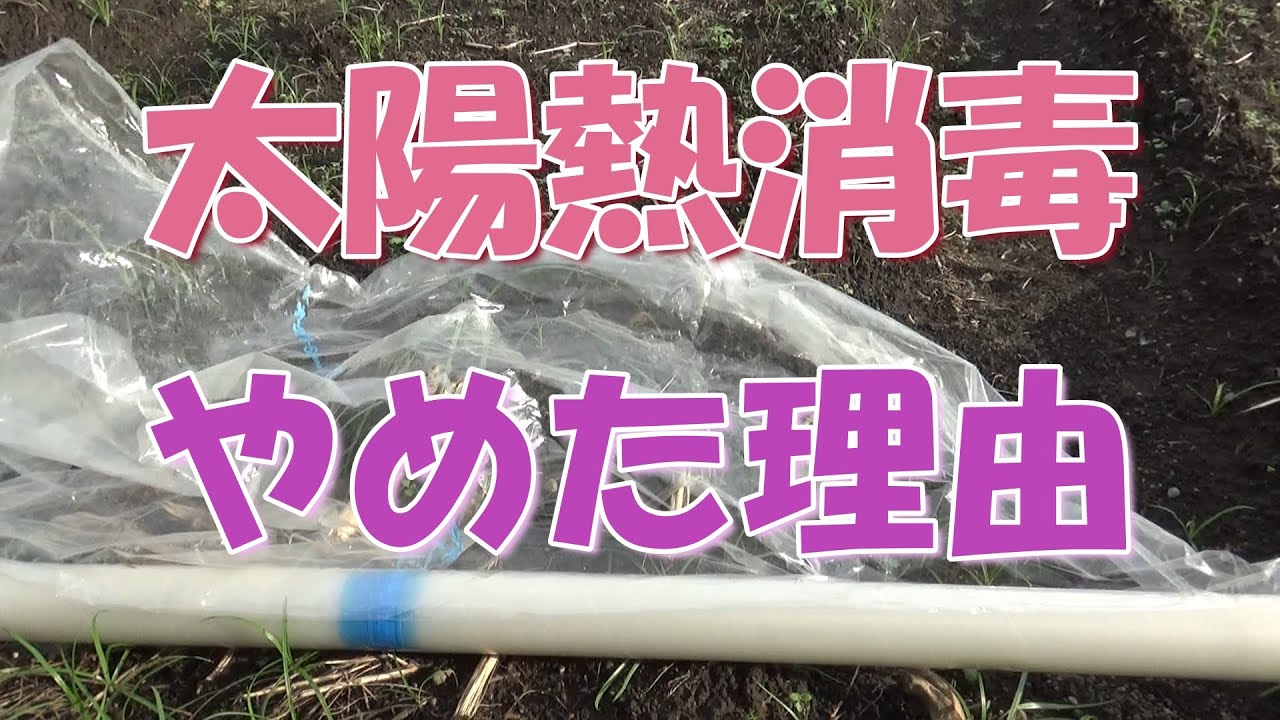 太陽熱消毒を止めた理由